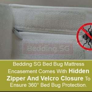 Bed Bug Cannot Enter And Exit Mattress