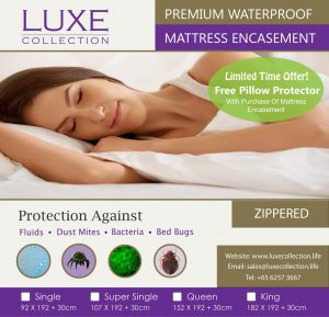 Bed Bug Mattress Encasement Free Pillow Protector
