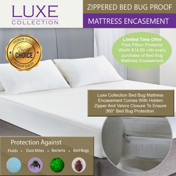 Bed Bug Mattress Encasement • Zippered Mattress Encasement