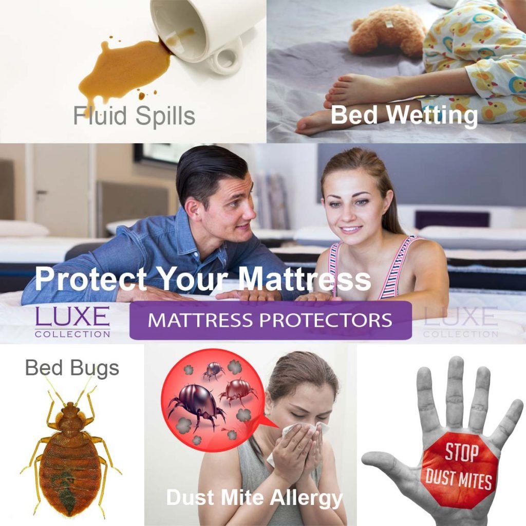 Bed Bug Bolster Protector • Protect Your Bedding From Infestation