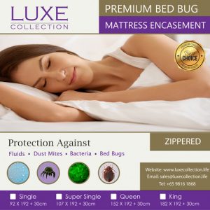 Bed Bug Mattress Encasement