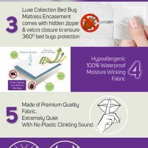 Bed Bug Mattress Encasement Set