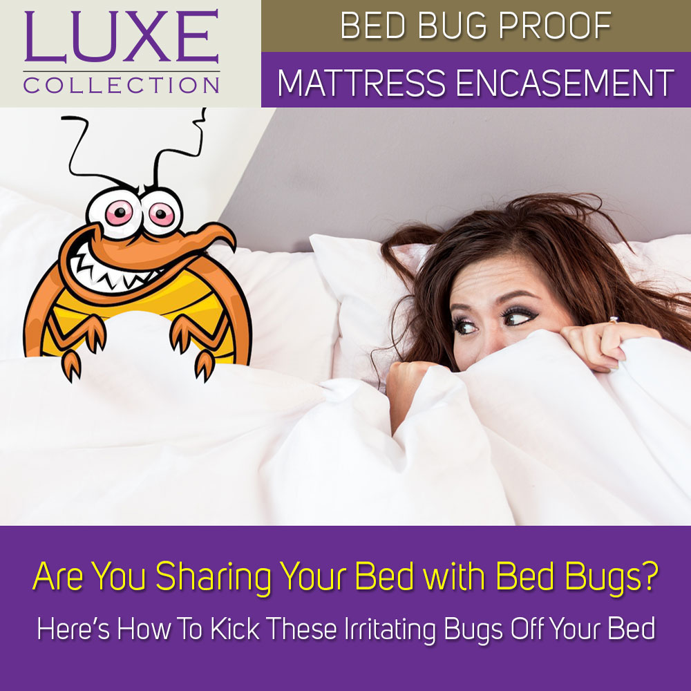 Bed Bug Mattress Encasement Luxe Collection