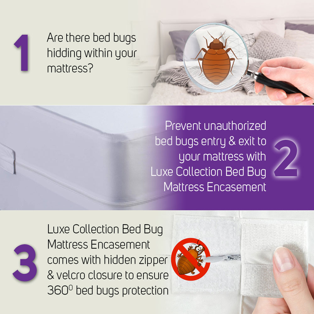 Bed Bugs Mattress Protector Protect, Can Bed Bugs Bite Through Mattress Encasements