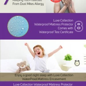 Dust Mite Allergy Mattress Protector