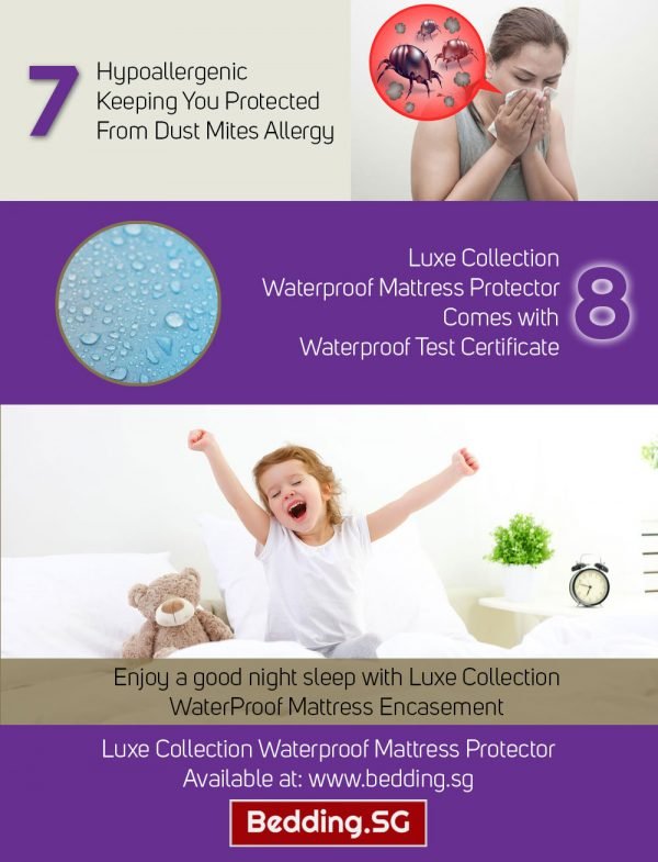 Dust Mite Allergy Mattress Protector