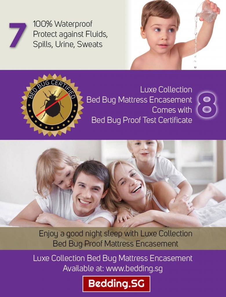 Prevent Bed Bug Bites