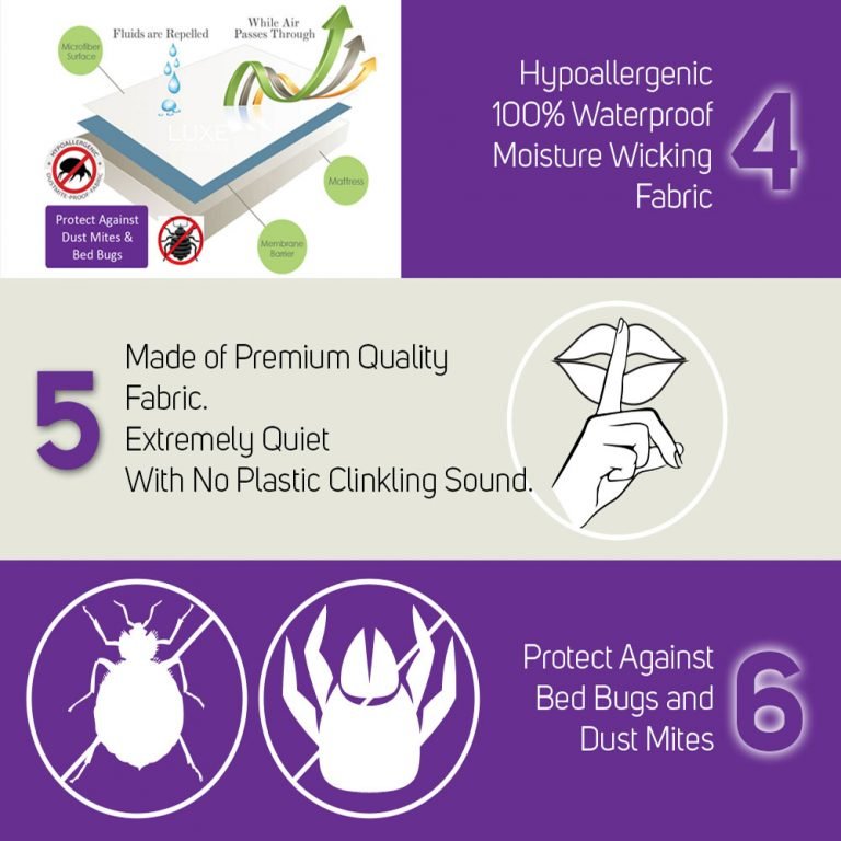 Bed Bugs Mattress Protector Protect From Bed Bug Bites And Infestation