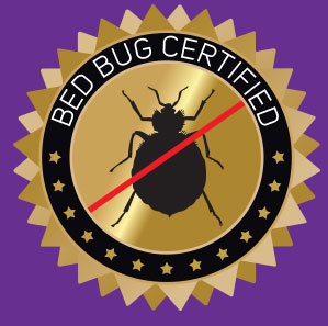 bug bug test certificate
